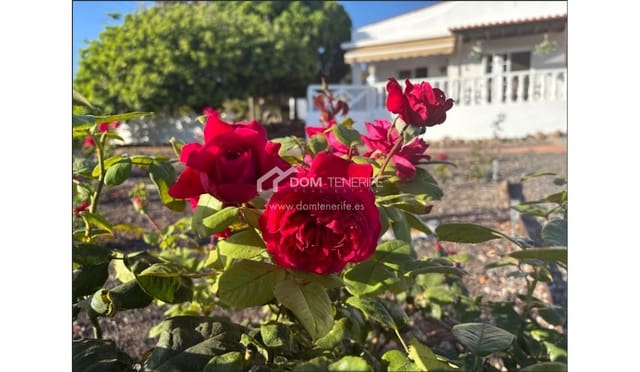 6 soveværelse Finca/Landehus til salg i Piedra Hincada, Guía de Isora med garage - € 1.050.000 (Ref: 9421582)