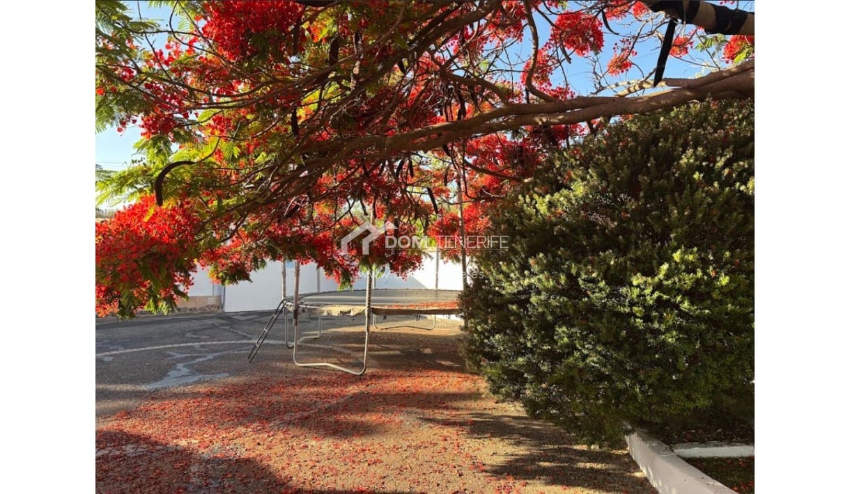 6 soveværelse Finca/Landehus til salg i Piedra Hincada med garage - € 1.050.000 (Ref: 9421582)