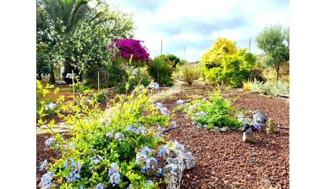 6 soveværelse Finca/Landehus til salg i Piedra Hincada, Guía de Isora med garage - € 1.050.000 (Ref: 9421582)