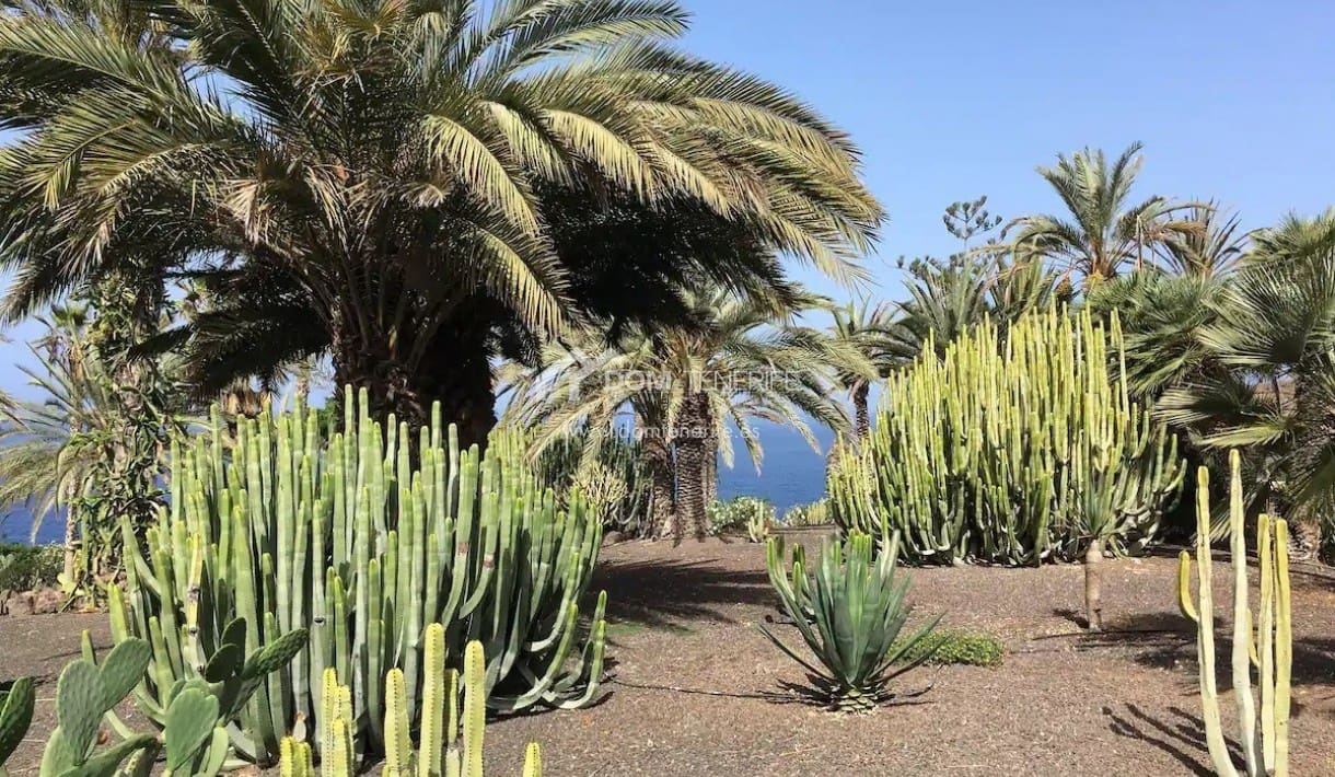 3 bedroom Apartment for sale in Marazul with pool garage - € 580,000 (Ref: 9739307)