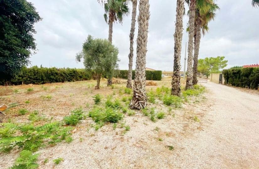 Finca/Casa Rural de 3 habitaciones en Daya Vieja en venta con garaje - 300.000 € (Ref: 9420307)