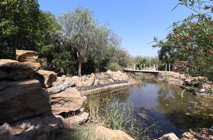 7 bedroom Finca/Country House for sale in Catral with pool garage - € 975,000 (Ref: 9420335)