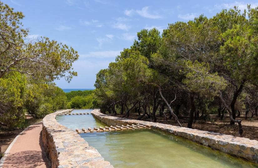 2 chambre Bungalow à vendre à La Mata avec piscine - 255 000 € (Ref: 9420337)