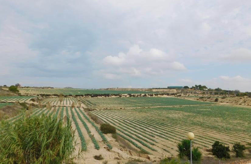 3 bedroom Villa for sale in San Miguel de Salinas with pool garage - € 270,000 (Ref: 9420392)