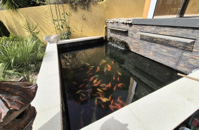 3 bedroom Villa for sale in San Miguel de Salinas with pool garage - € 399,950 (Ref: 9420431)