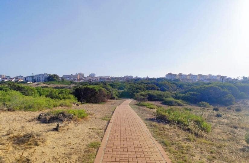 1 Zimmer Apartment zu verkaufen in La Mata mit Pool - 110.000 € (Ref: 9424143)