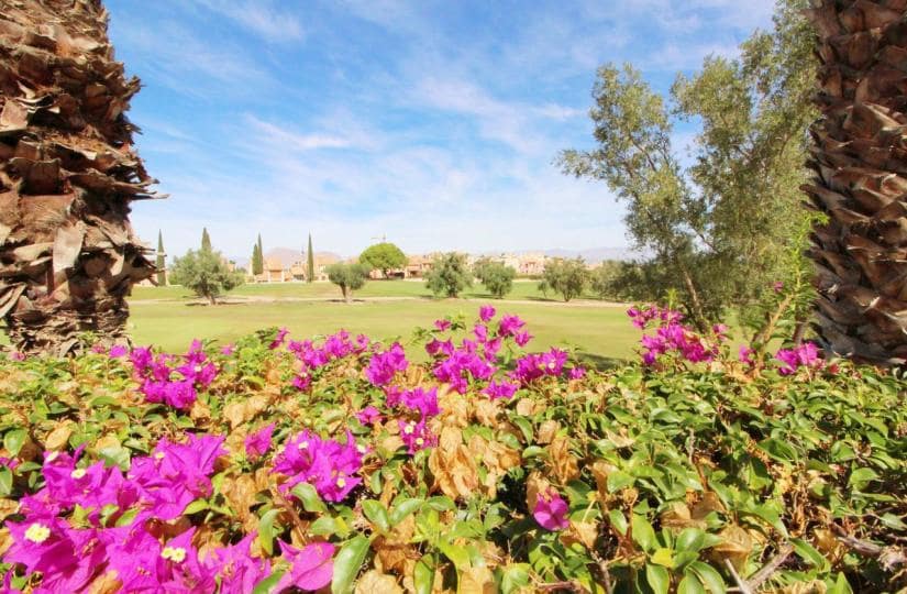 3 Zimmer Doppelhaus zu verkaufen in Algorfa mit Pool Garage - 395.000 € (Ref: 9425447)