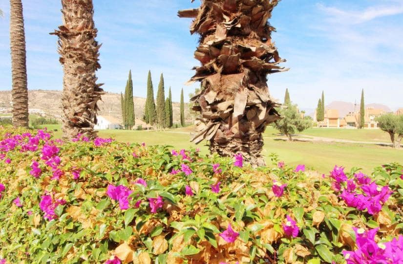 3 Zimmer Doppelhaus zu verkaufen in Algorfa mit Pool Garage - 395.000 € (Ref: 9425447)