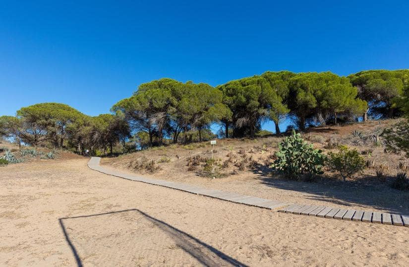 2 slaapkamer Appartement te koop in Guardamar del Segura - € 135.000 (Ref: 9425458)