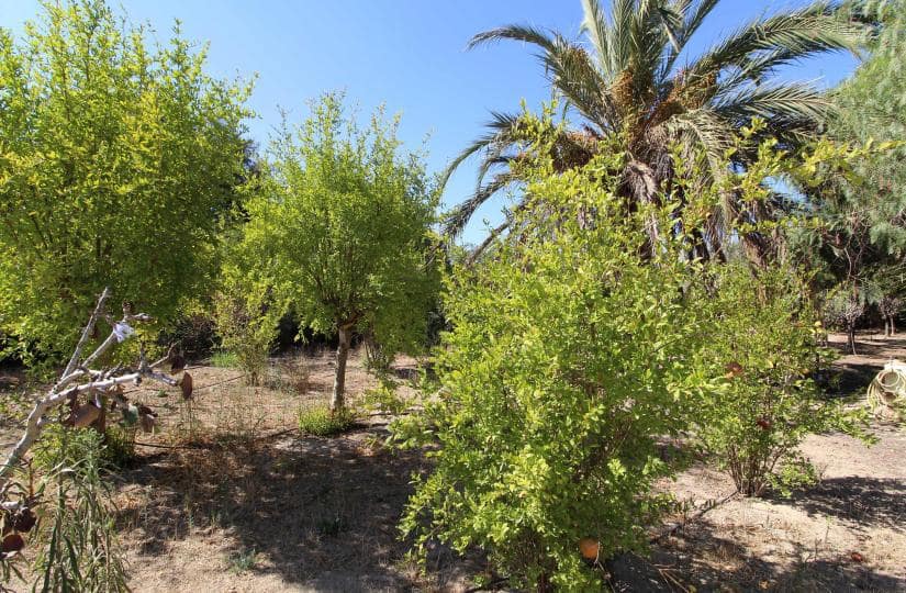 Finca/Casa Rural de 2 habitaciones en Elche / Elx en venta con piscina garaje - 190.000 € (Ref: 9425467)