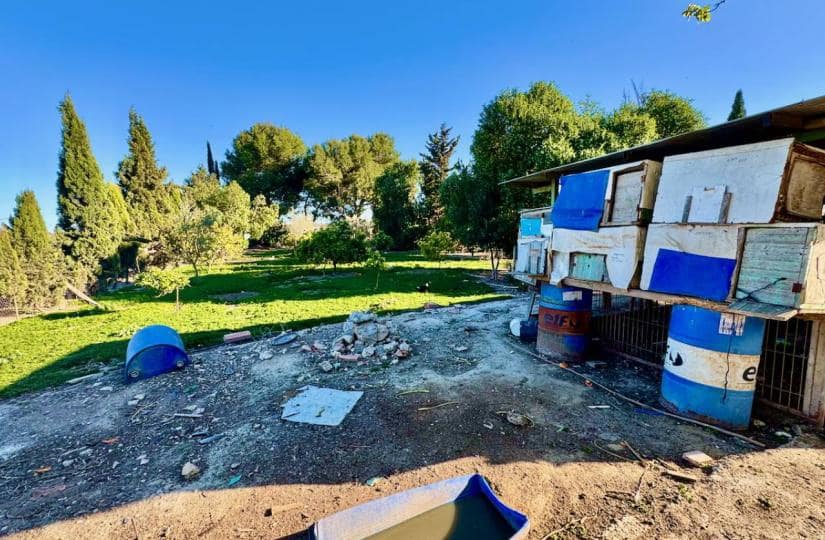 4 bedroom Finca/Country House for sale in Guardamar del Segura with garage - € 190,000 (Ref: 9425475)