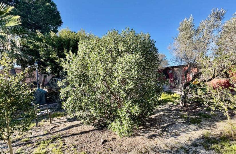 4 bedroom Finca/Country House for sale in Guardamar del Segura with garage - € 190,000 (Ref: 9425475)