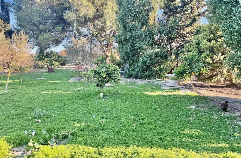 4 bedroom Finca/Country House for sale in Guardamar del Segura with garage - € 190,000 (Ref: 9425475)