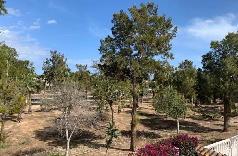 3 bedroom Villa for sale in El Raso with pool garage - € 269,000 (Ref: 9425479)