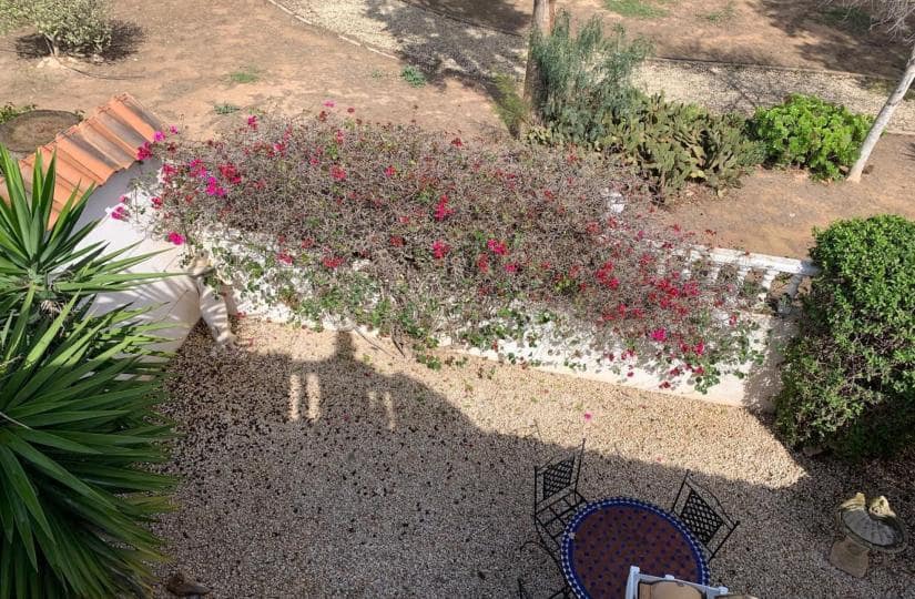 3 bedroom Villa for sale in El Raso with pool garage - € 269,000 (Ref: 9425479)