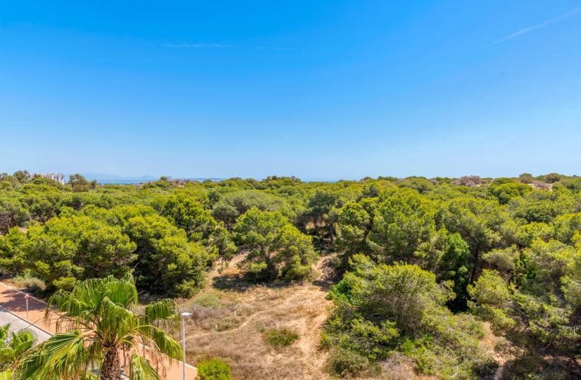 2 soveværelse Lejlighed til salg i Guardamar del Segura med swimmingpool - € 309.000 (Ref: 9425548)