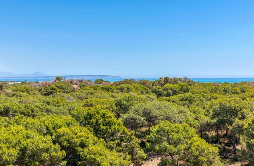 2 soveværelse Lejlighed til salg i Guardamar del Segura med swimmingpool - € 309.000 (Ref: 9425548)