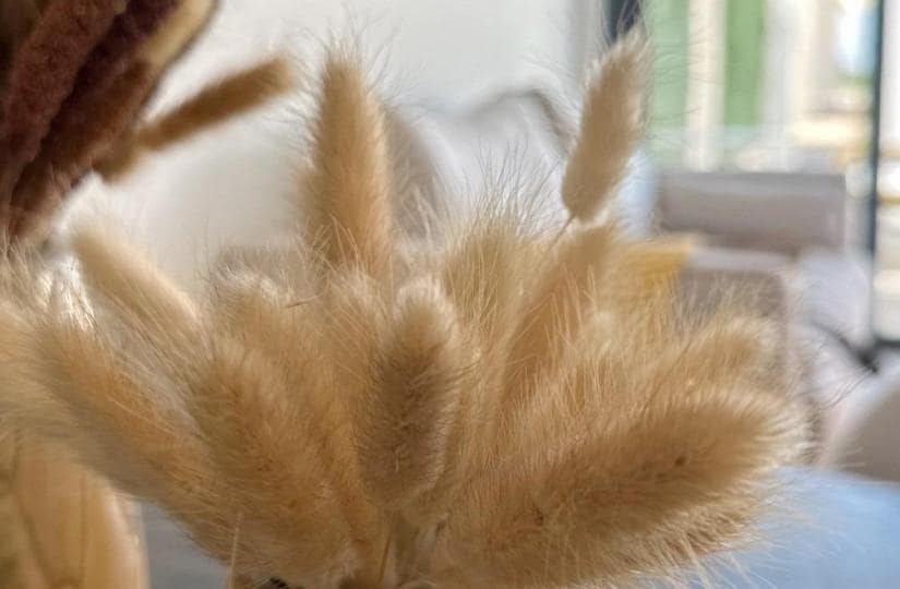 2 bedroom Apartment for sale in San Fulgencio with pool - € 251,900 (Ref: 9430403)