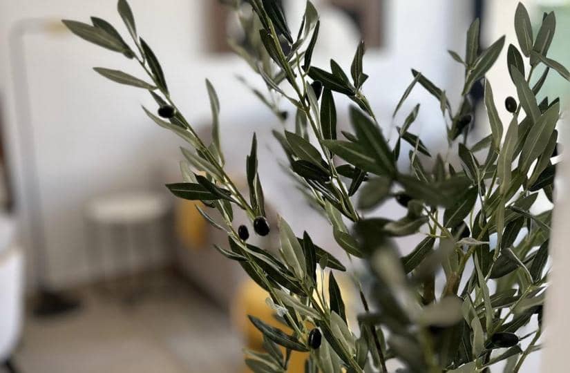 2 bedroom Apartment for sale in San Fulgencio with pool - € 251,900 (Ref: 9430403)