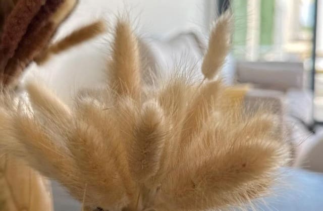 2 slaapkamer Appartement te koop in San Fulgencio met zwembad - € 233.900 (Ref: 9430404)