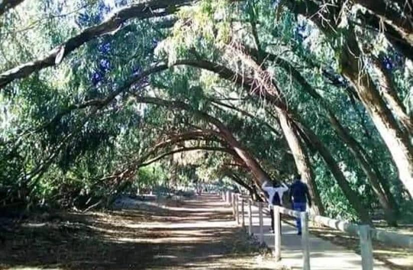 2 Zimmer Apartment zu verkaufen in Torrevieja mit Pool - 274.900 € (Ref: 9430410)