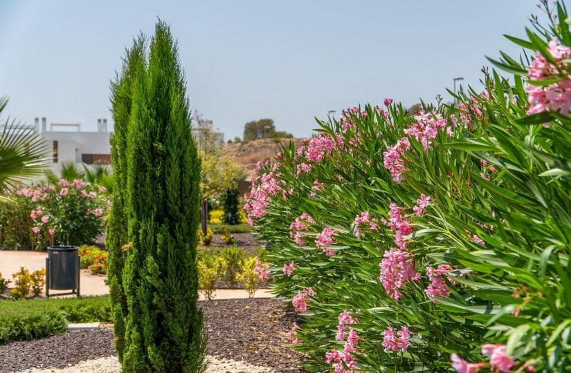 2 soverom Hus til salgs i Orihuela med svømmebasseng - € 309 900 (Ref: 9430427)