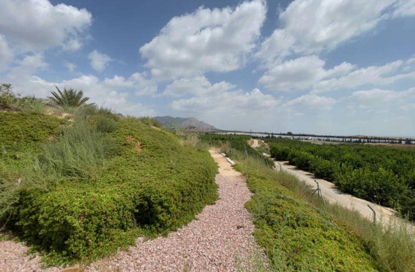 4 slaapkamer Finca/Landhuis te koop in Orihuela met zwembad garage - € 199.995 (Ref: 9430457)