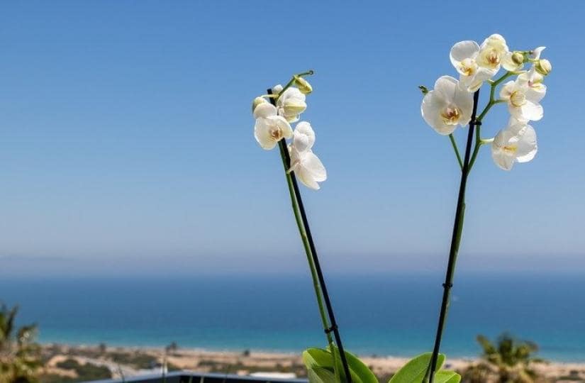 3 bedroom Apartment for sale in Santa Pola with pool - € 405,000 (Ref: 9430537)