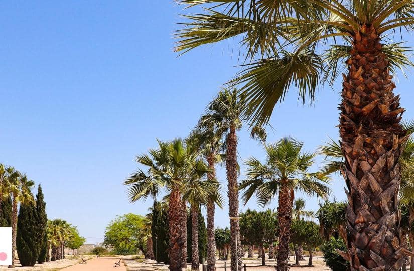 4 bedroom Villa for sale in San Fulgencio with pool - € 1,325,000 (Ref: 9430567)