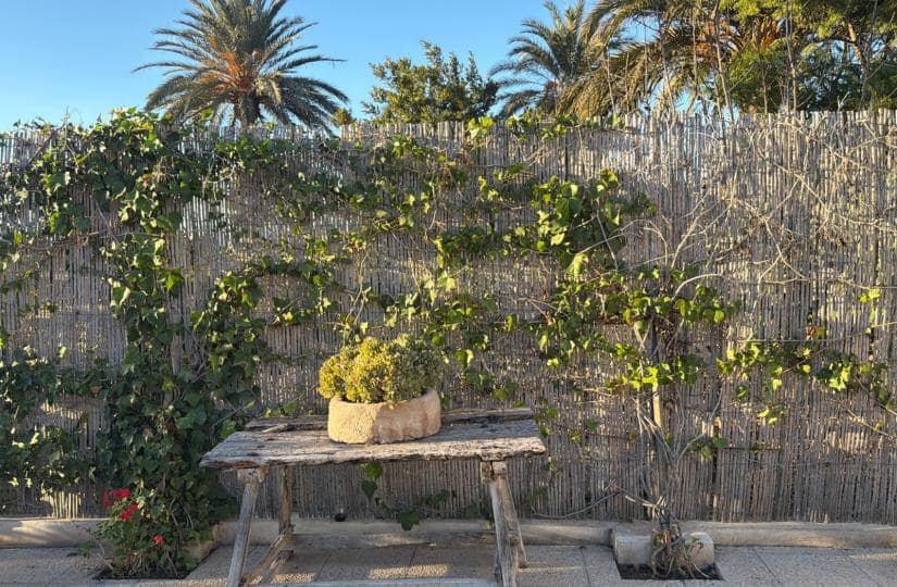 3 bedroom Finca/Country House for sale in Dolores with pool garage - € 397,000 (Ref: 9441225)