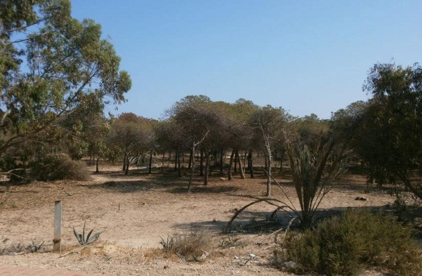 2 soveværelse Lejlighed til salg i Guardamar del Segura med swimmingpool - € 189.000 (Ref: 9467922)