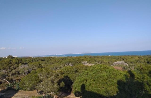 4 soverom Leilighet til salgs i Zona Pueblo, Guardamar del Segura med svømmebasseng - € 470 000 (Ref: 9467924)