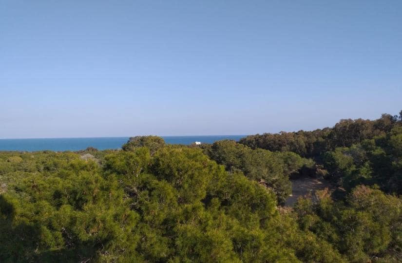 3 bedroom Apartment for sale in Guardamar del Segura with pool - € 350,000 (Ref: 9467925)