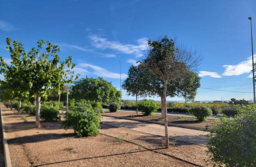 3 soverom Kjedet enebolig til salgs i Los Montesinos med svømmebasseng garasje - € 215 000 (Ref: 9498950)