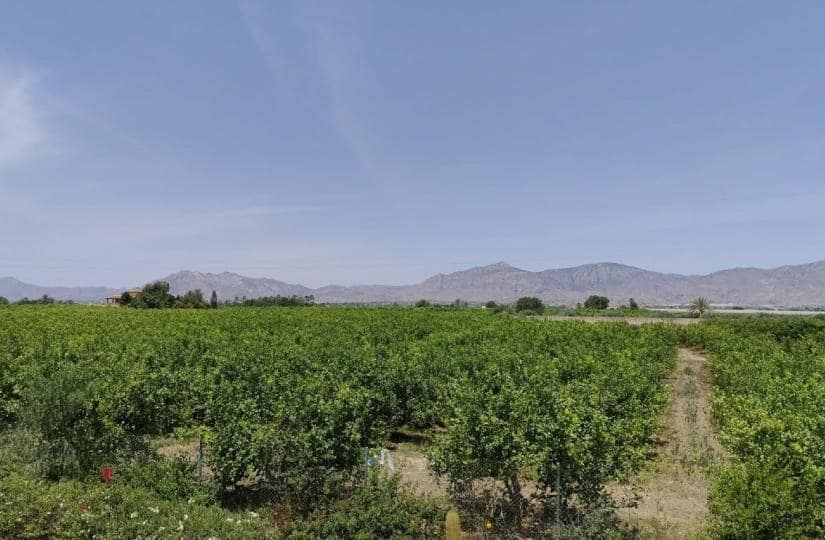 3 bedroom Finca/Country House for sale in Albatera with pool garage - € 330,000 (Ref: 9499564)