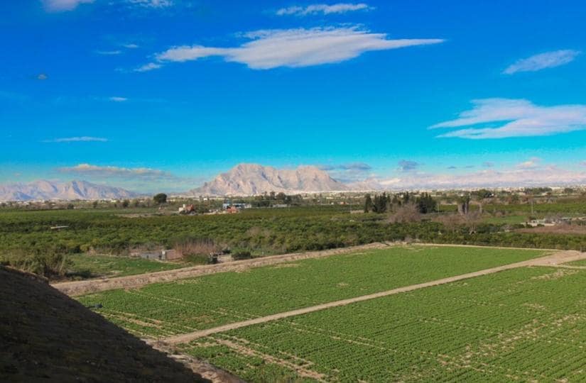 1 slaapkamer Appartement te koop in Algorfa met zwembad garage - € 75.000 (Ref: 9499665)