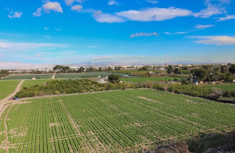 1 slaapkamer Appartement te koop in Algorfa met zwembad garage - € 75.000 (Ref: 9499665)