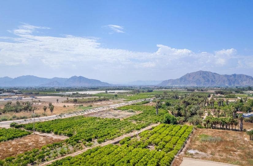 3 bedroom Apartment for sale in Jacarilla with pool - € 170,000 (Ref: 9499684)