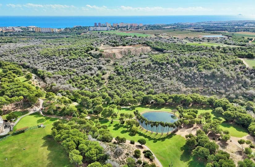 3 bedroom Villa for sale in Dehesa de Campoamor with pool garage - € 465,000 (Ref: 9499941)