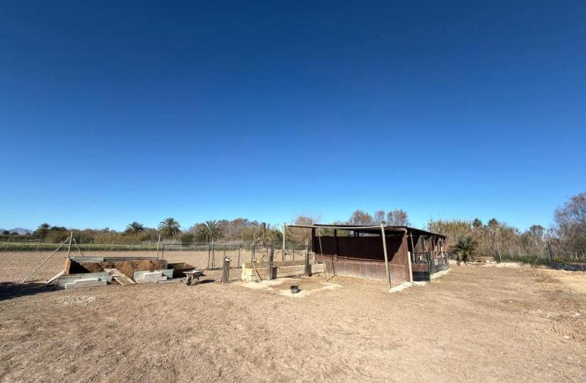 Grond te koop in Algorfa - € 229.000 (Ref: 9504744)