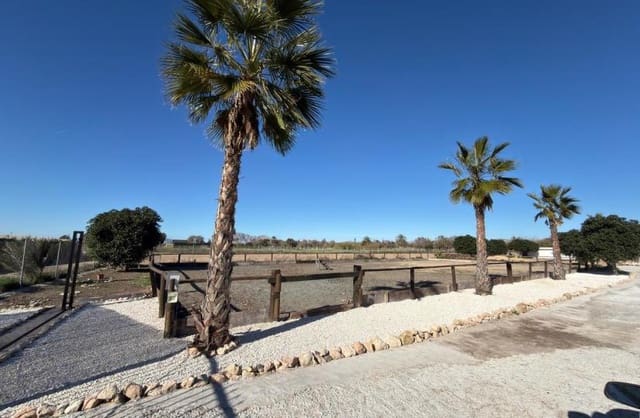 Grond te koop in Algorfa - € 229.000 (Ref: 9504744)