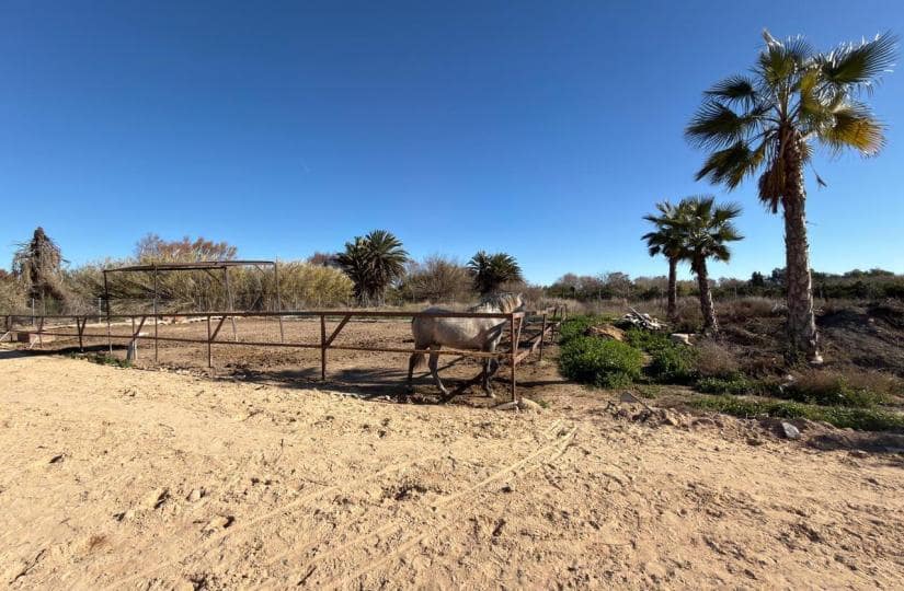 Grond te koop in Algorfa - € 229.000 (Ref: 9504744)