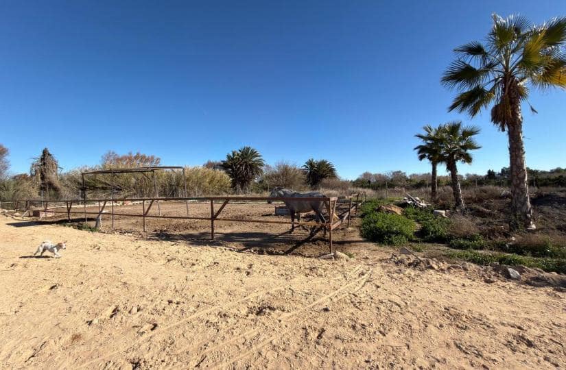 Grond te koop in Algorfa - € 229.000 (Ref: 9504744)