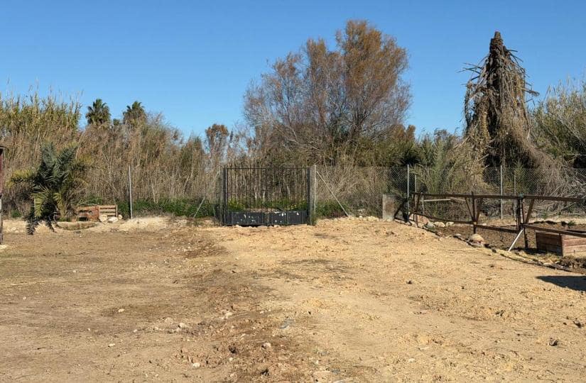 Grond te koop in Algorfa - € 229.000 (Ref: 9504744)