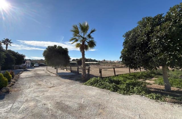 Grond te koop in Algorfa - € 229.000 (Ref: 9504744)