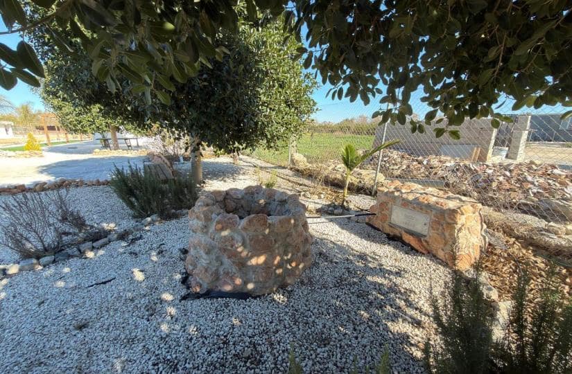 Grond te koop in Algorfa - € 229.000 (Ref: 9504744)