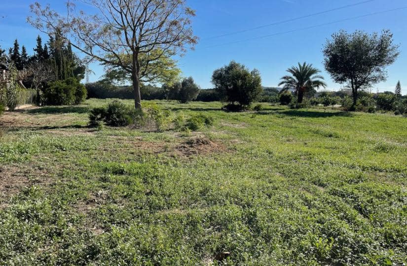 4 slaapkamer Finca/Landhuis te koop in Daya Nueva met garage - € 320.000 (Ref: 9521075)