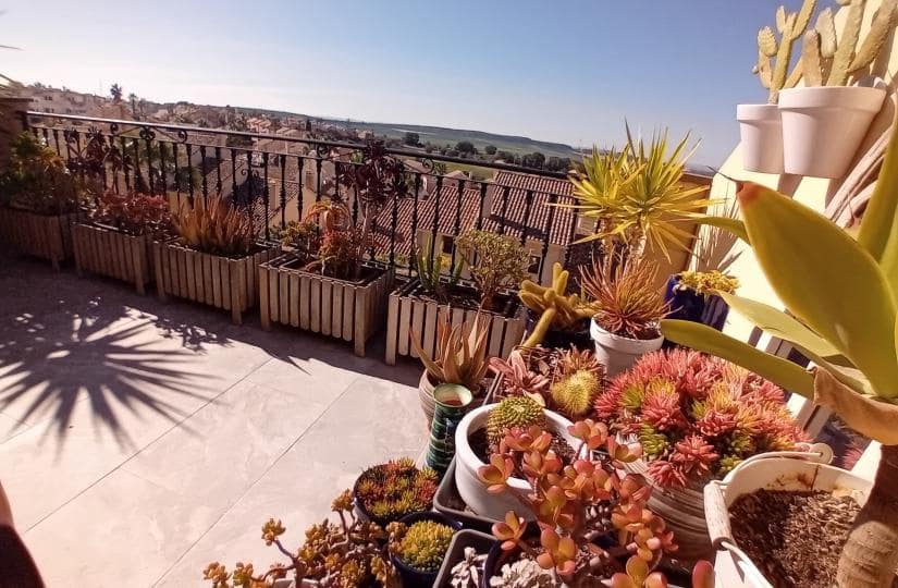 Casa de 2 habitaciones en Algorfa en venta con piscina garaje - 285.000 € (Ref: 9639815)