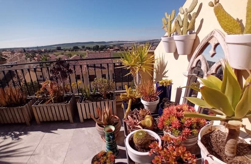 Casa de 2 habitaciones en Algorfa en venta con piscina garaje - 285.000 € (Ref: 9639815)