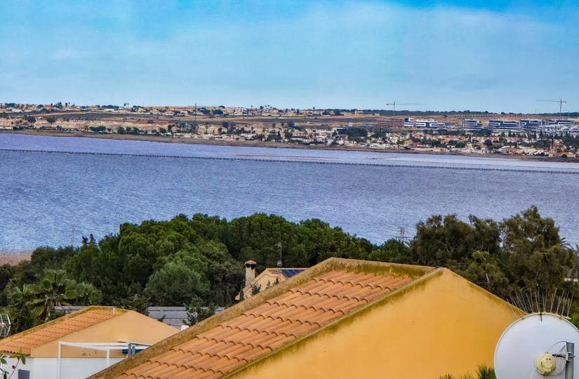 1 bedroom Apartment for sale in Los Balcones with pool - € 112,500 (Ref: 9643566)